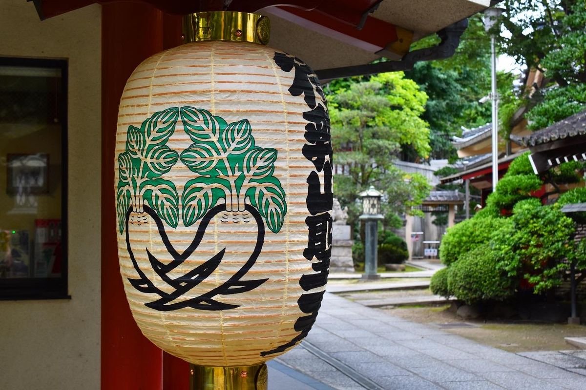 🏯 마츠치야마 혼류인 (마츠치야마 쇼덴) 이미지 6